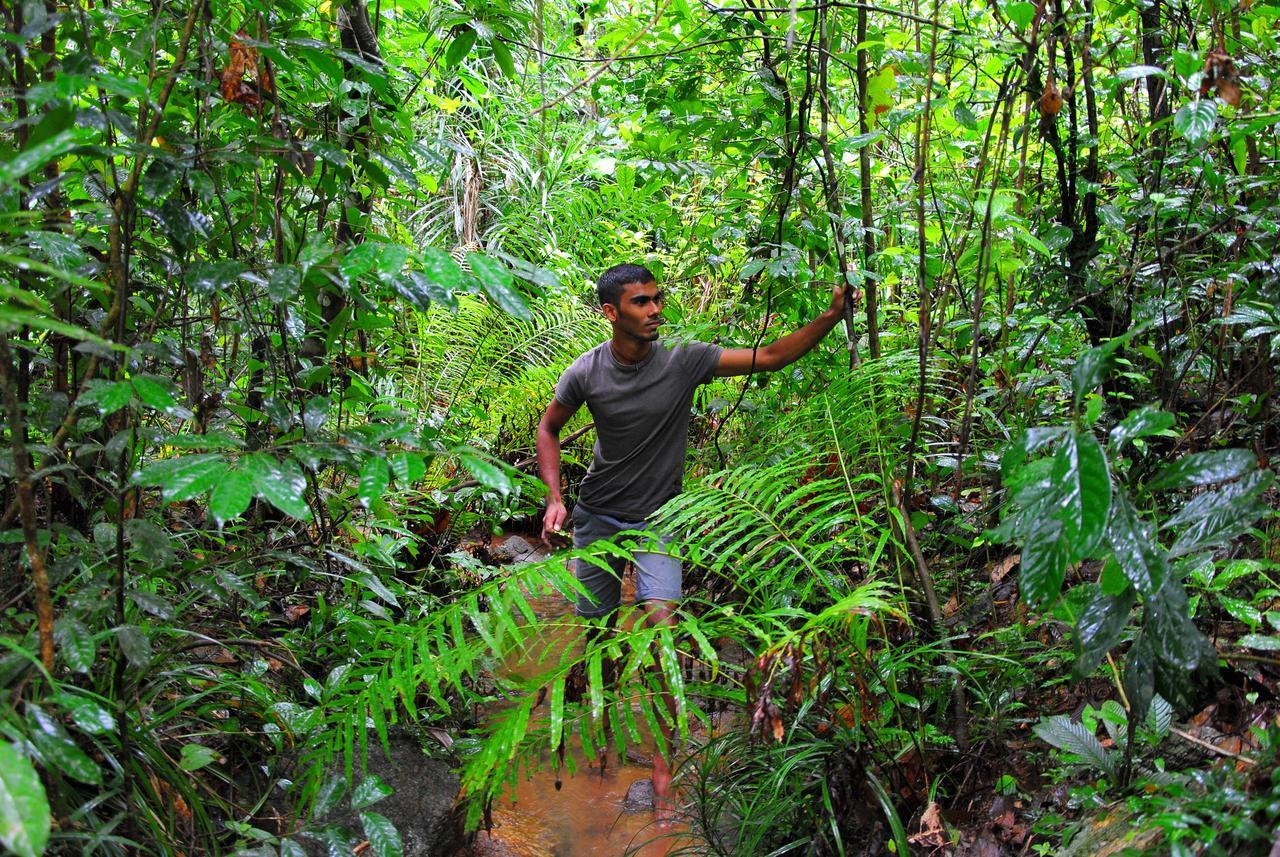 Jungle River Ginigathena ภายนอก รูปภาพ