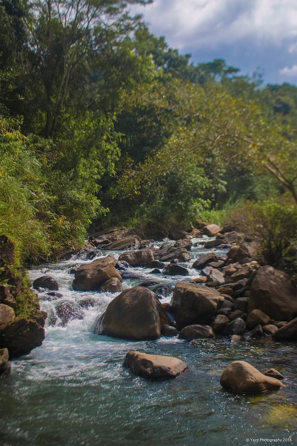 Jungle River Ginigathena ภายนอก รูปภาพ