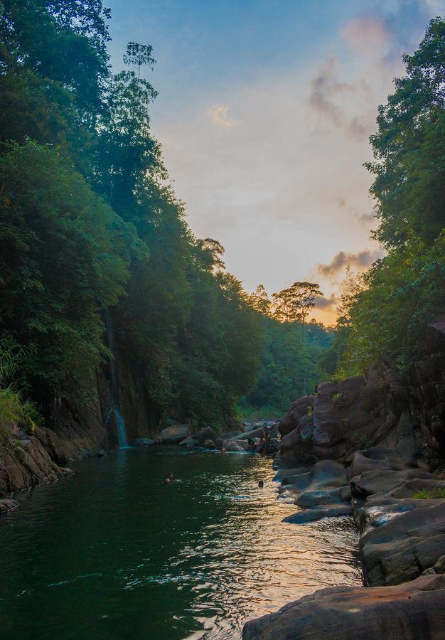 Jungle River Ginigathena ภายนอก รูปภาพ