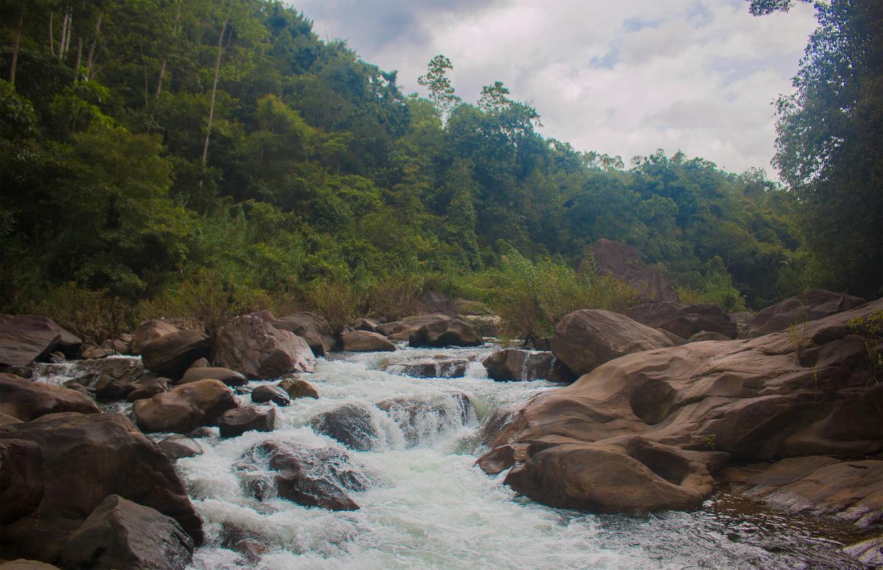 Jungle River Ginigathena ภายนอก รูปภาพ