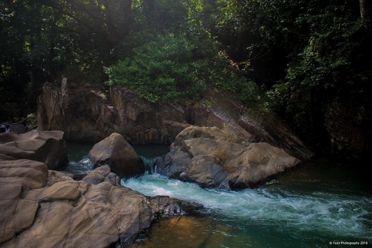 Jungle River Ginigathena ภายนอก รูปภาพ